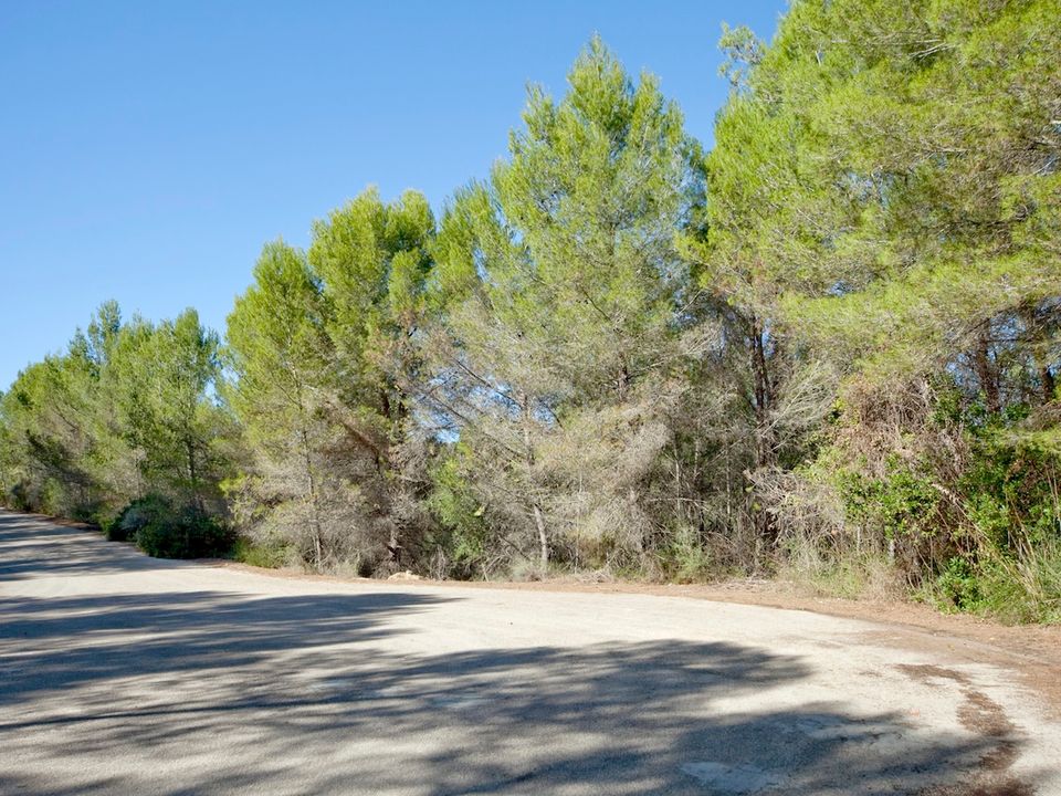 Tomt i Son Vida, Mallorca - bilde 1