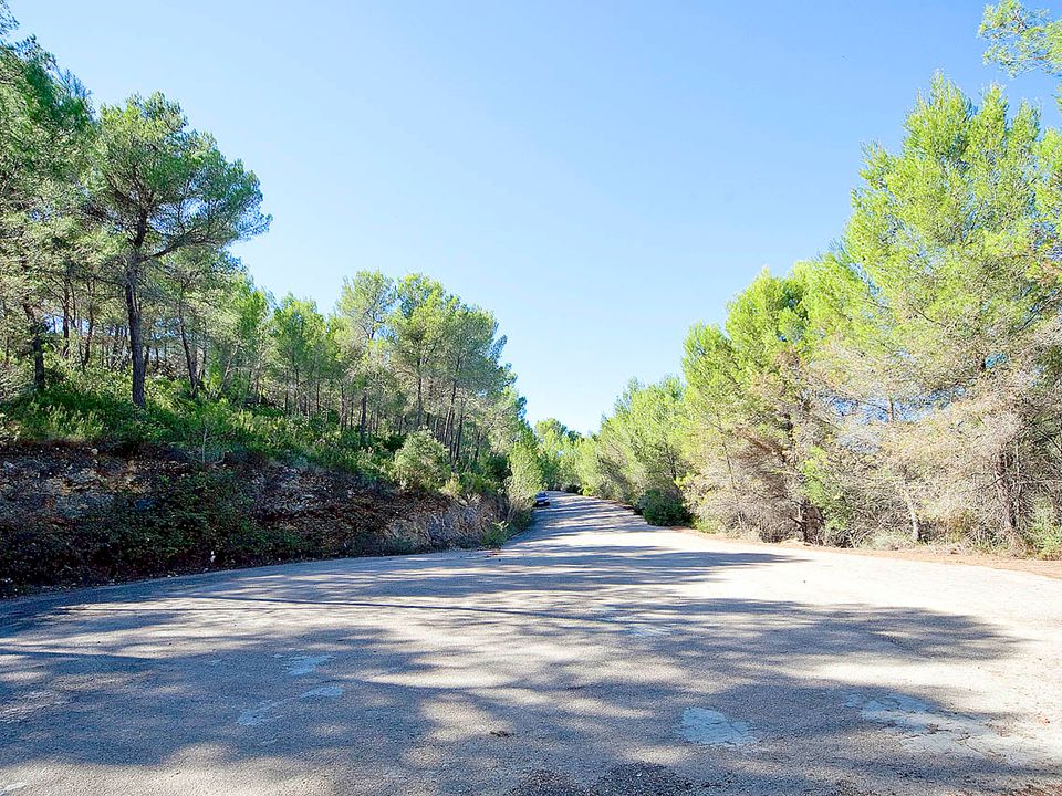 Tomt i Son Vida, Mallorca - bilde 3