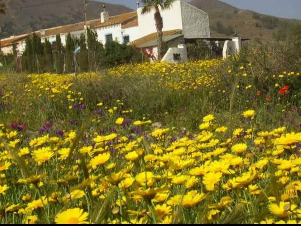 Landejendom i Mazarron, Murcia - foto 1