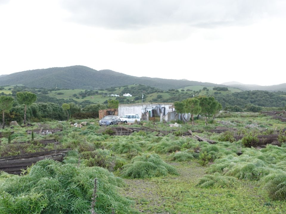 Finca i Medina Sidonia, Cadiz - foto 1