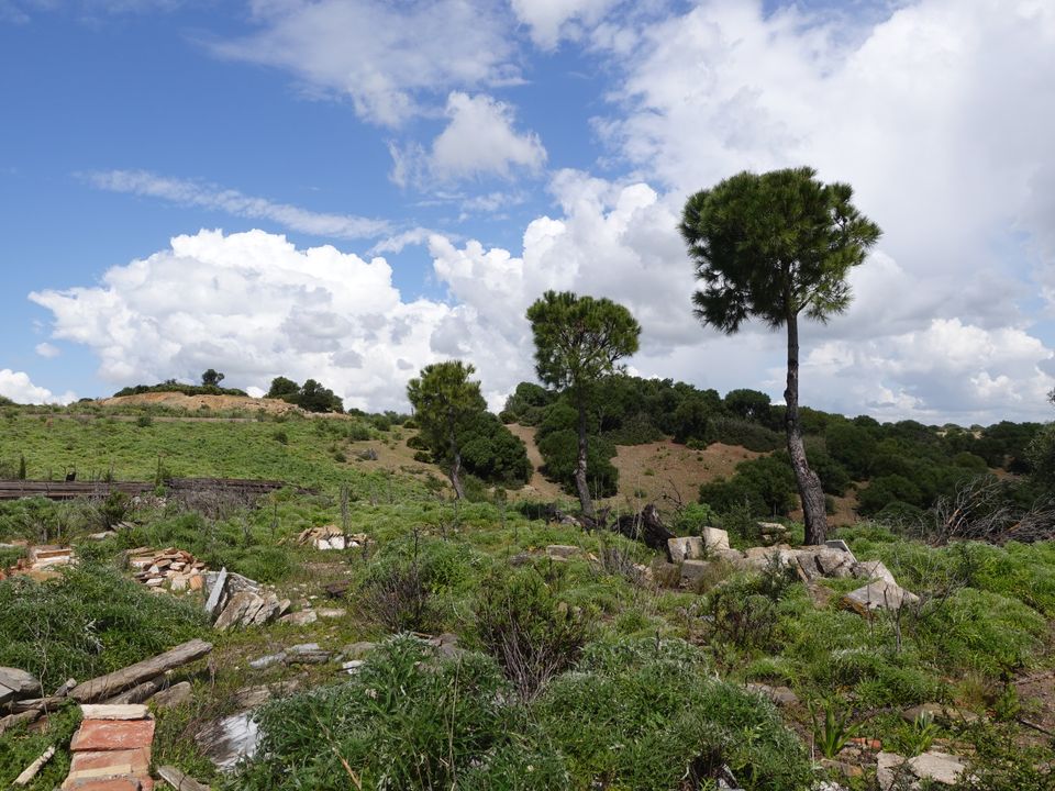 Finca i Medina Sidonia, Cadiz - foto 2