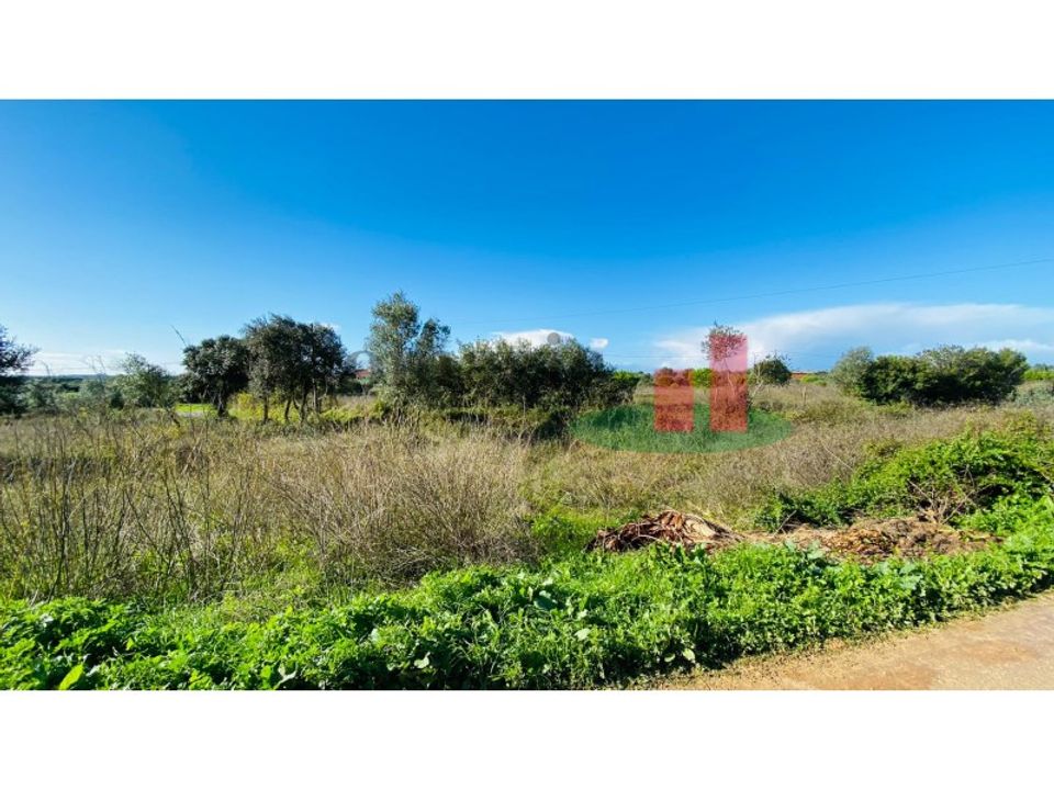 Terreno en Assentiz, Santarem - foto 3