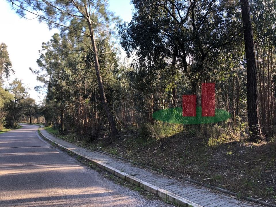 Helårsgrund i Asseiceira, Santarem - foto 2