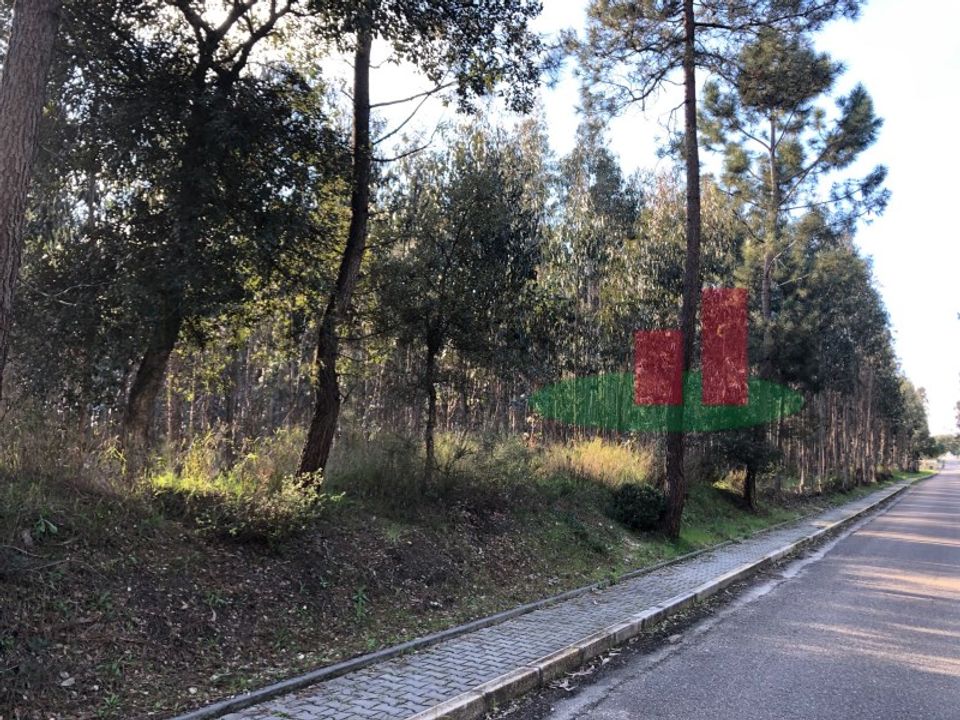 Helårsgrund i Asseiceira, Santarem - foto 1