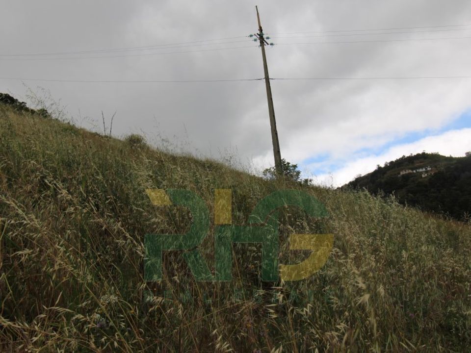 Helårsgrund i Caniço, Madeira - foto 3
