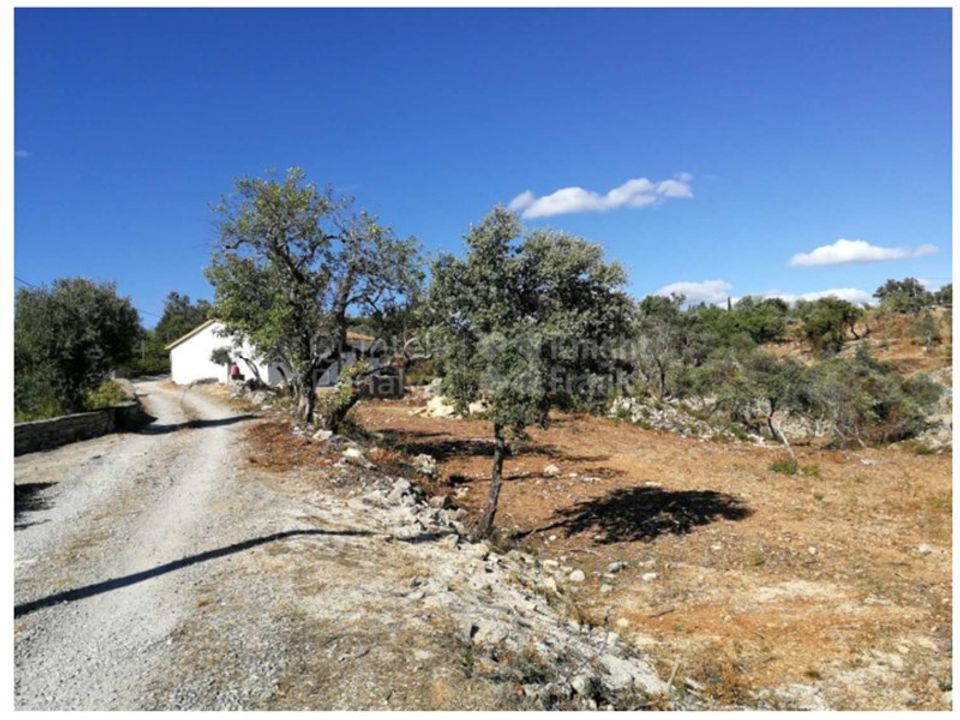 Villa i Santa Barbara de Nexe, Faro - foto 3
