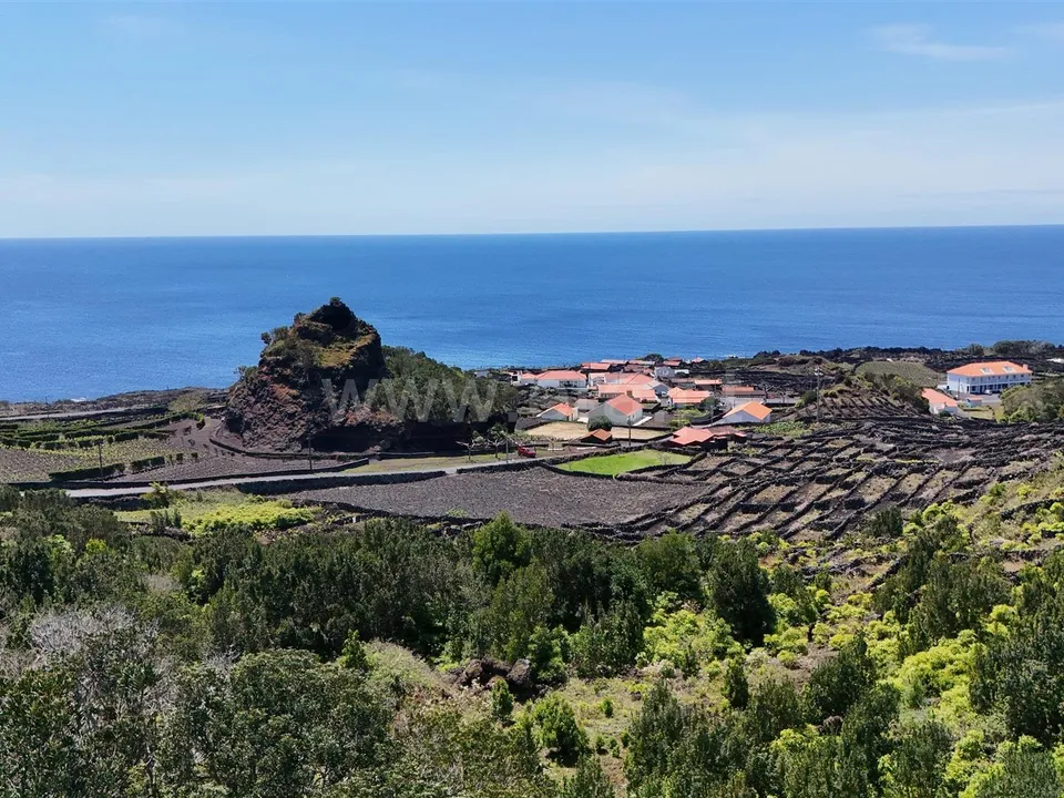 Helårsgrund i Madalena, Pico - foto 2