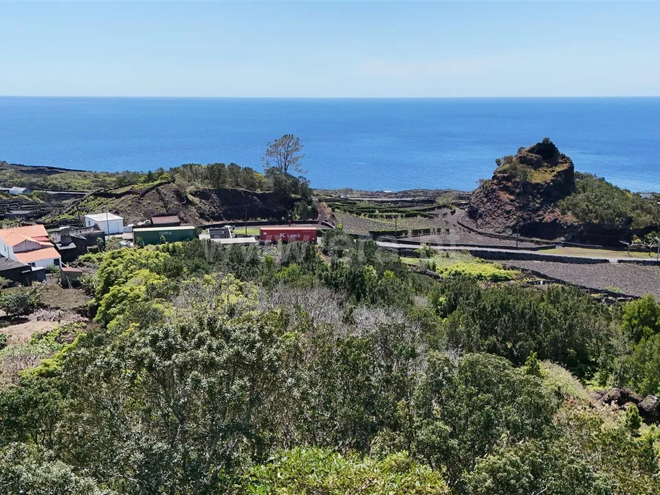 Helårsgrund i Madalena, Pico - foto 3