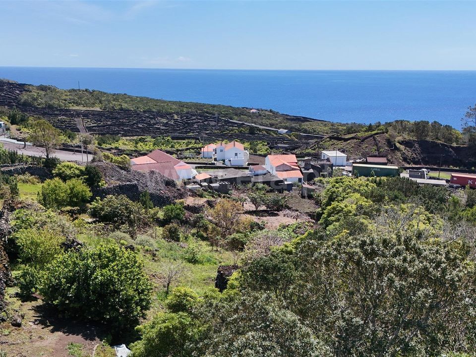 Helårsgrund i Madalena, Pico - foto 4