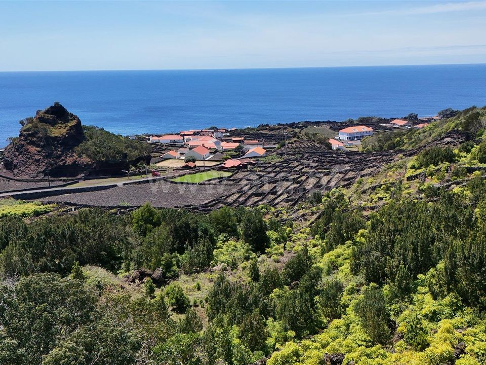 Helårsgrund i Madalena, Pico - foto 5