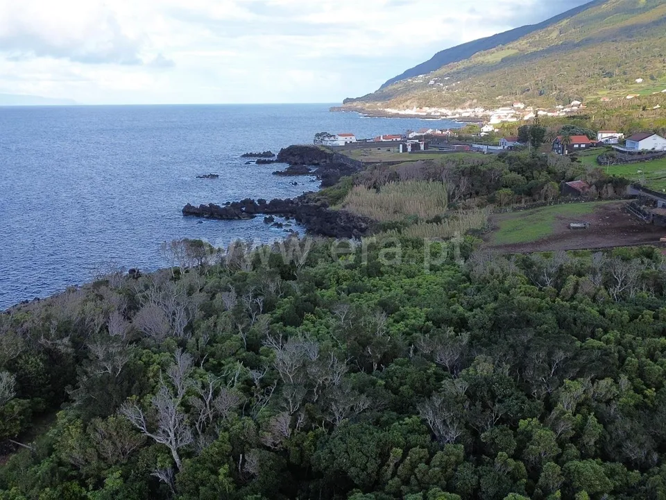 Helårsgrund i Sao Roque do Pico, Pico - foto 1