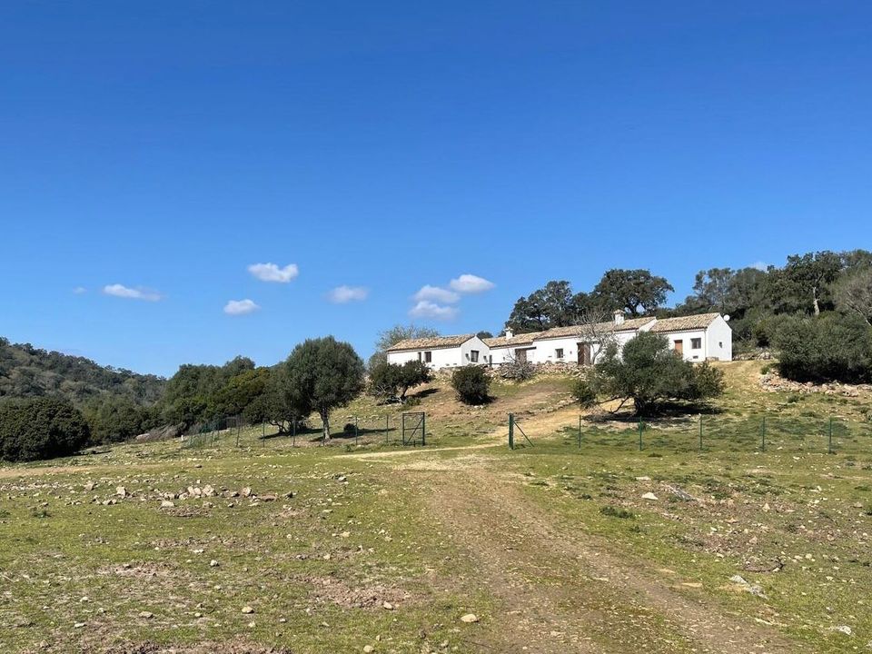Finca i Castellar De La Frontera, Cadiz - foto 4