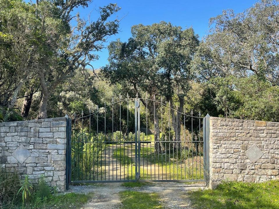Finca i Castellar De La Frontera, Cadiz - foto 5