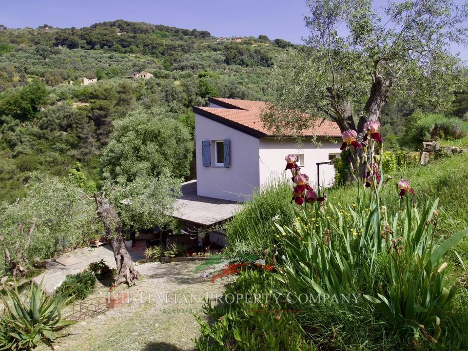 Villa in Vallebona, Imperia - foto 4