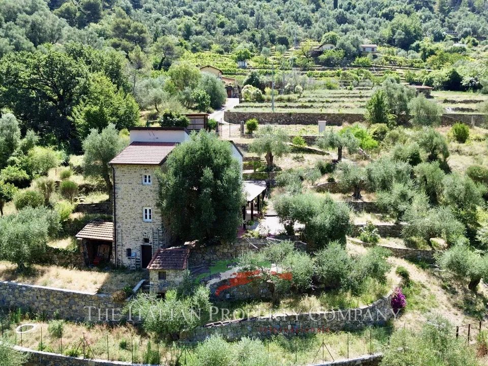 Villa in Vallebona, Imperia - foto 3