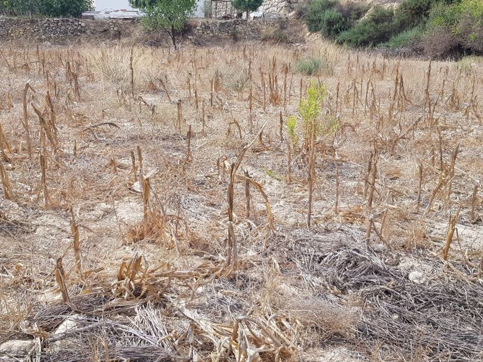 Helårsgrund i Sorbas, Almeria - foto 2