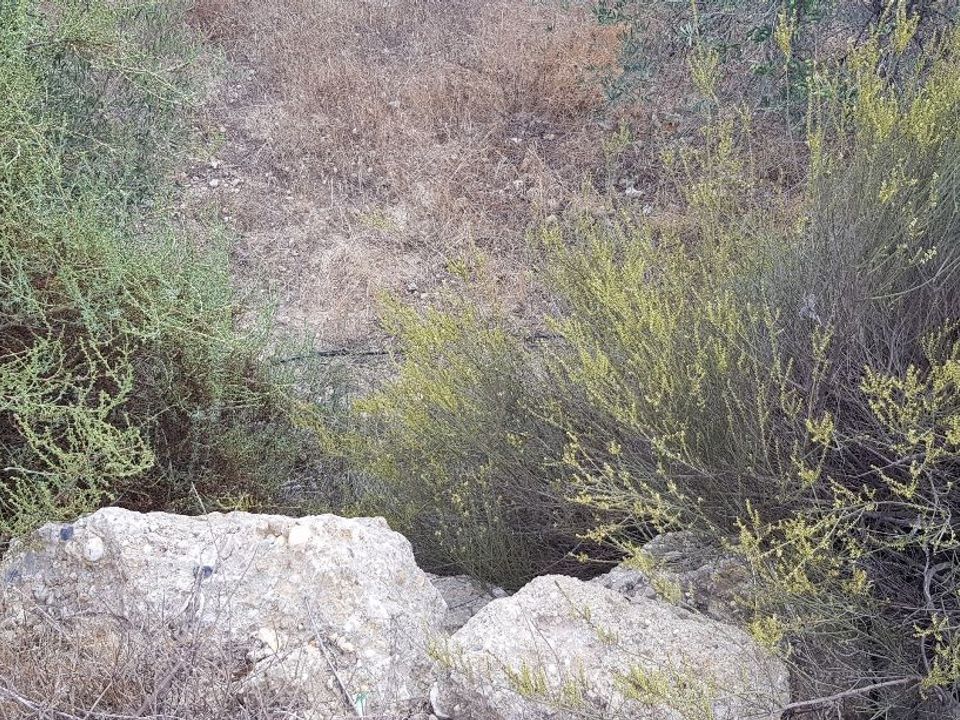 Helårsgrund i Sorbas, Almeria - foto 4