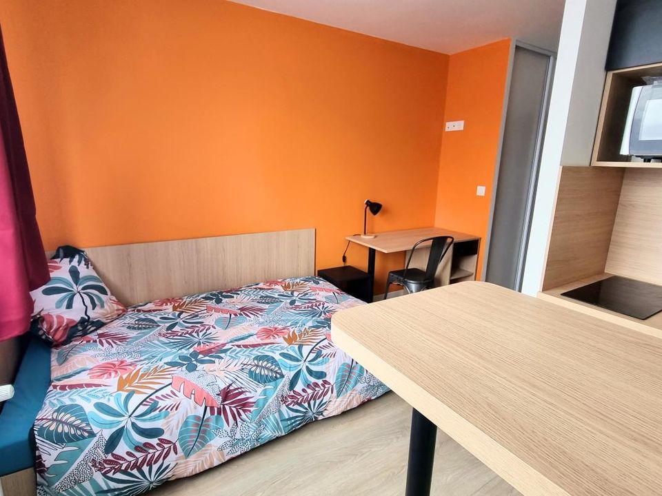 Estudi a Saint-Etienne, Loire - foto 4