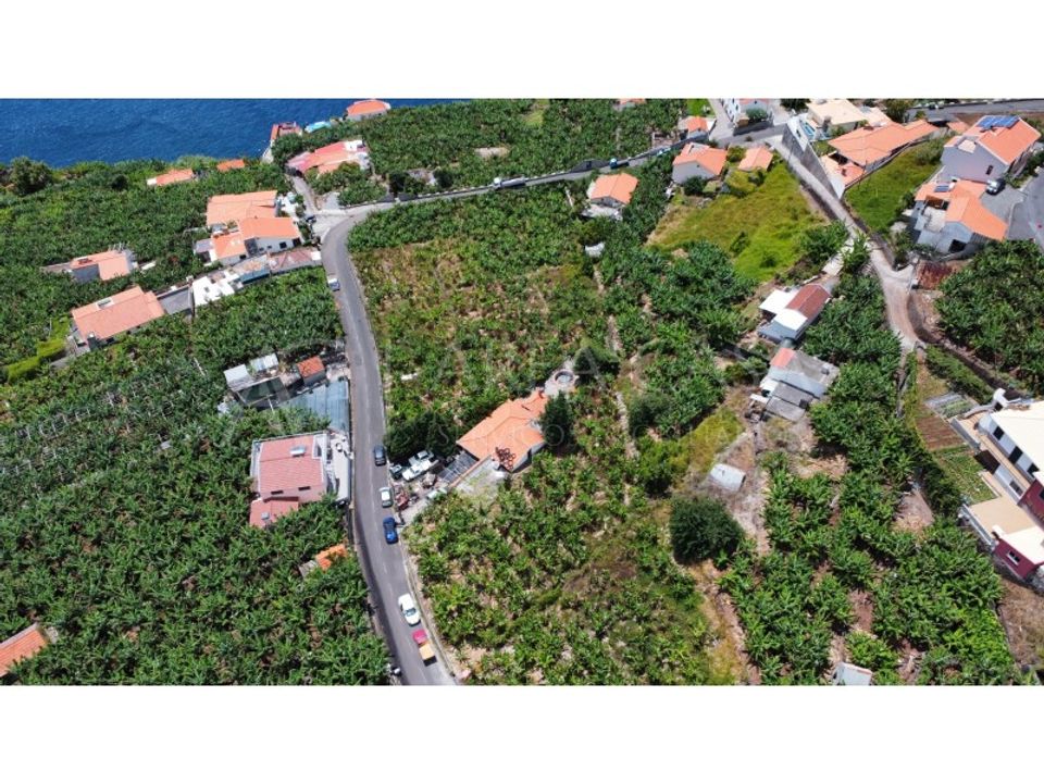 Helårsgrund i Arco da Calheta, Madeira - foto 4