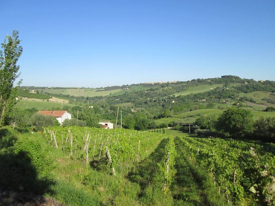 Landejendom i Cupramontana, Ancona - foto 3