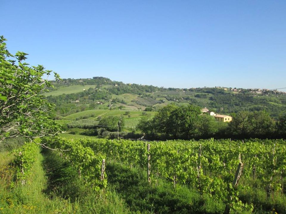 Landejendom i Cupramontana, Ancona - foto 4