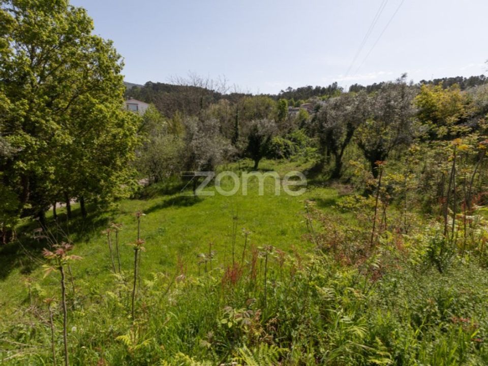 Helårsgrund i Arganil, Coimbra - foto 1