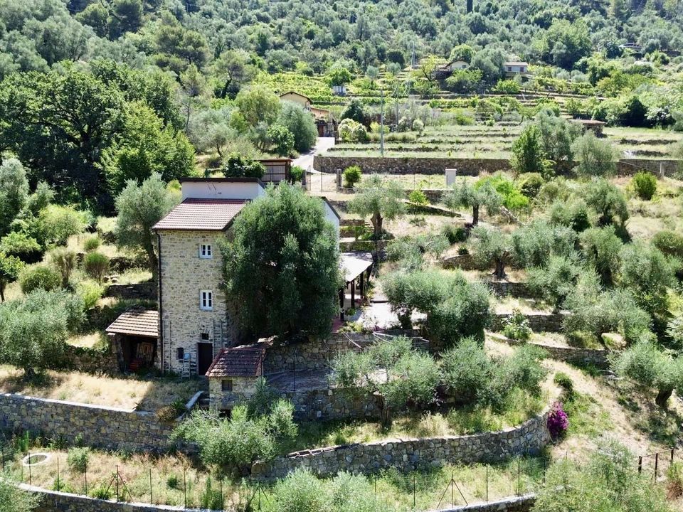 Villa i Vallebona, Imperia - foto 3