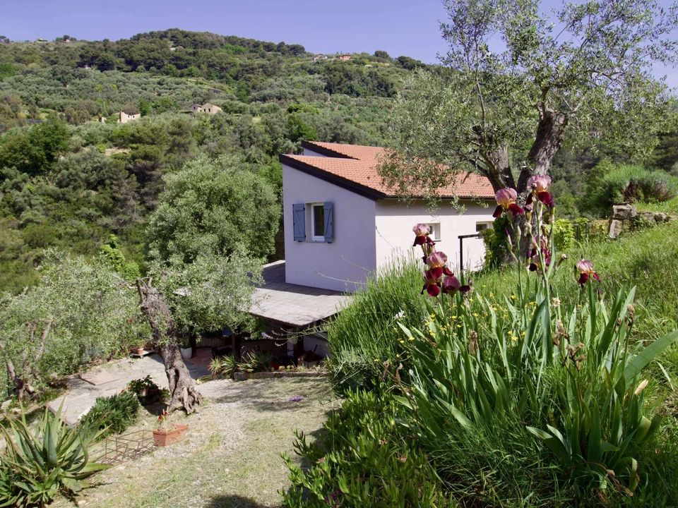Villa i Vallebona, Imperia - foto 4
