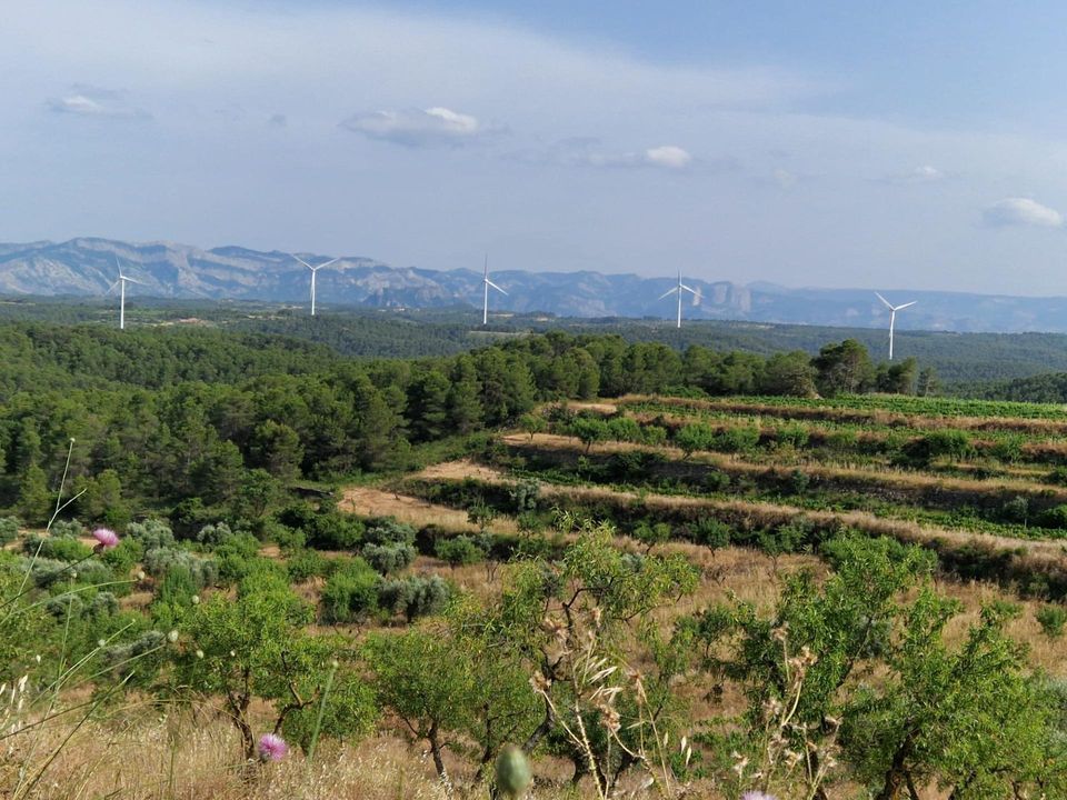 Terreno en Caseres, Tarragona - foto 1