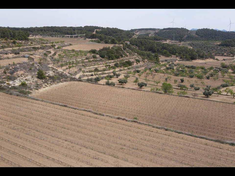 Terreno en Caseres, Tarragona - foto 2