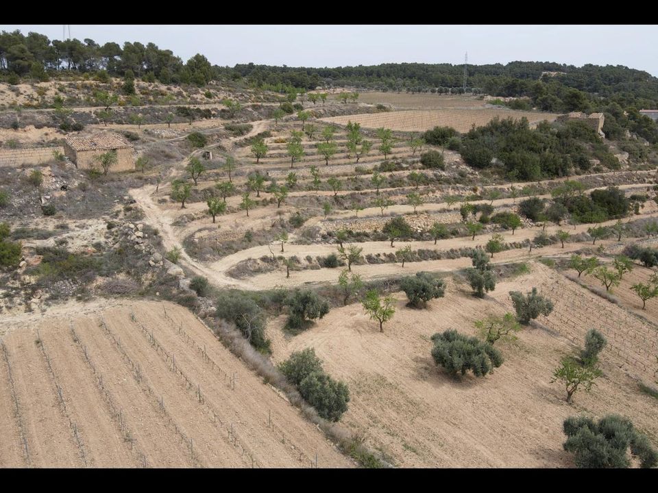Terreno en Caseres, Tarragona - foto 4