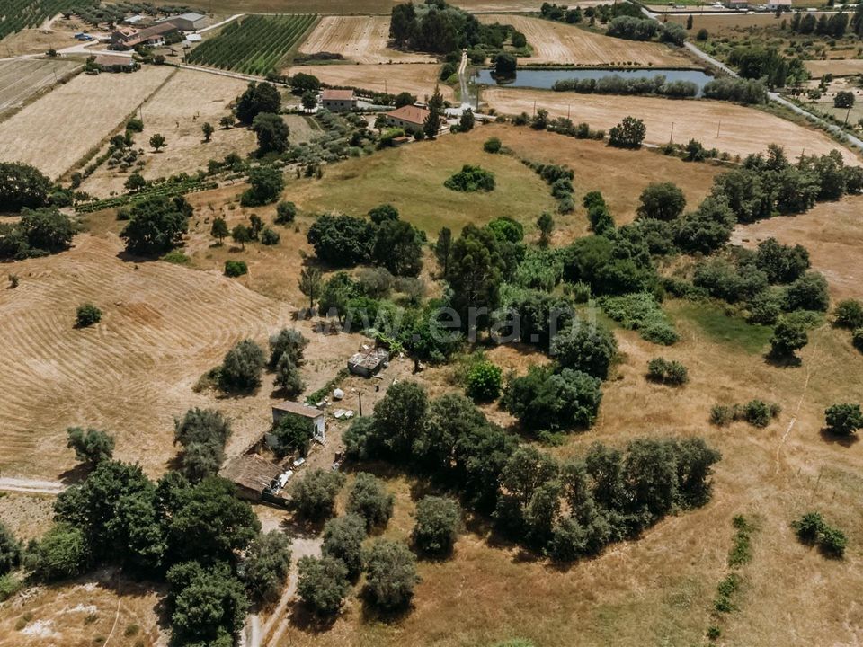 Erhvervsejendom i Fundao, Castelo Branco - foto 3