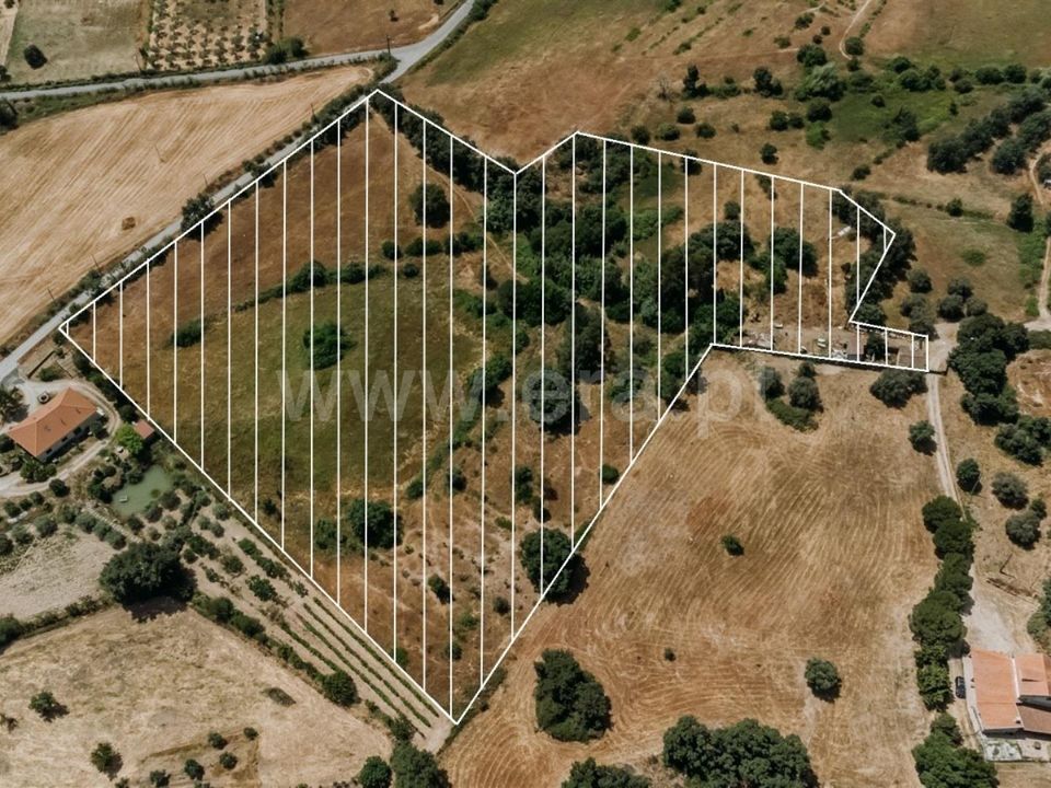 Erhvervsejendom i Fundao, Castelo Branco - foto 1