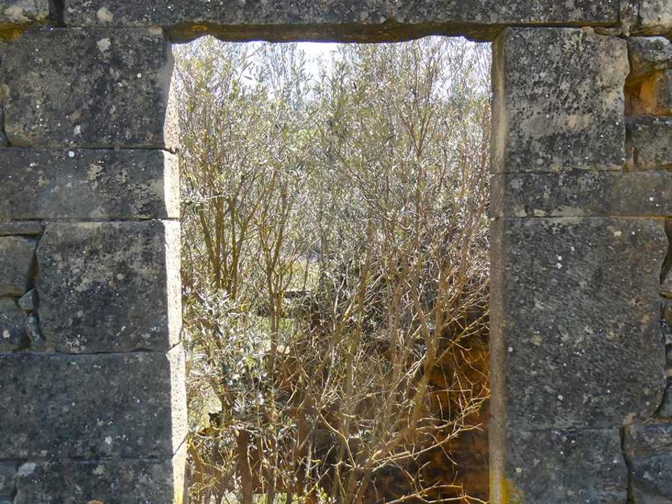 Finca en Caseres, Tarragona - foto 4