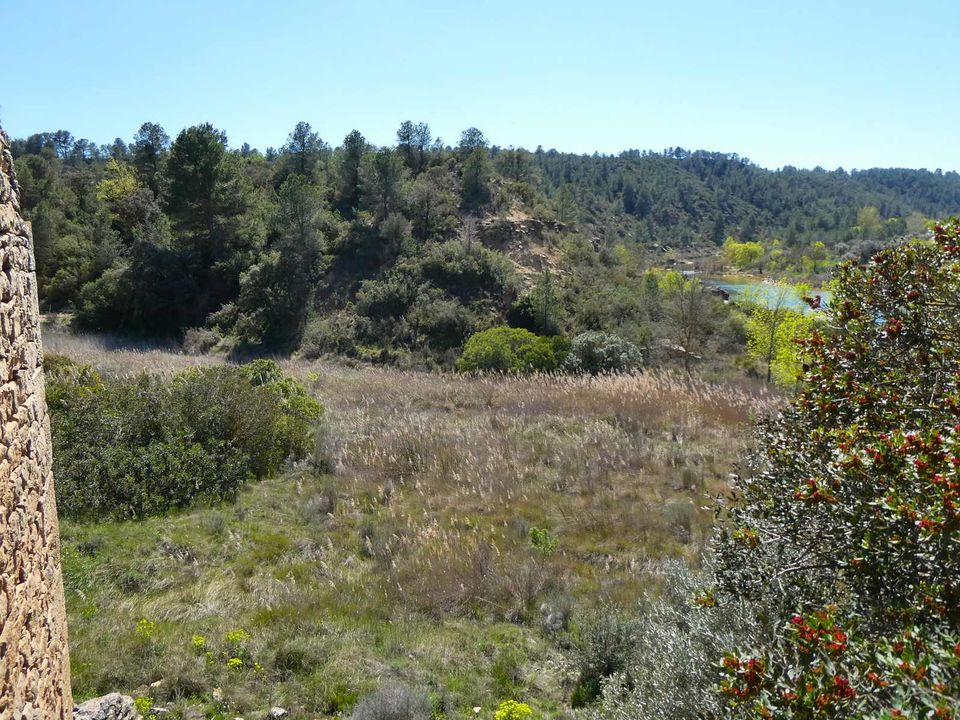 Finca en Caseres, Tarragona - foto 5