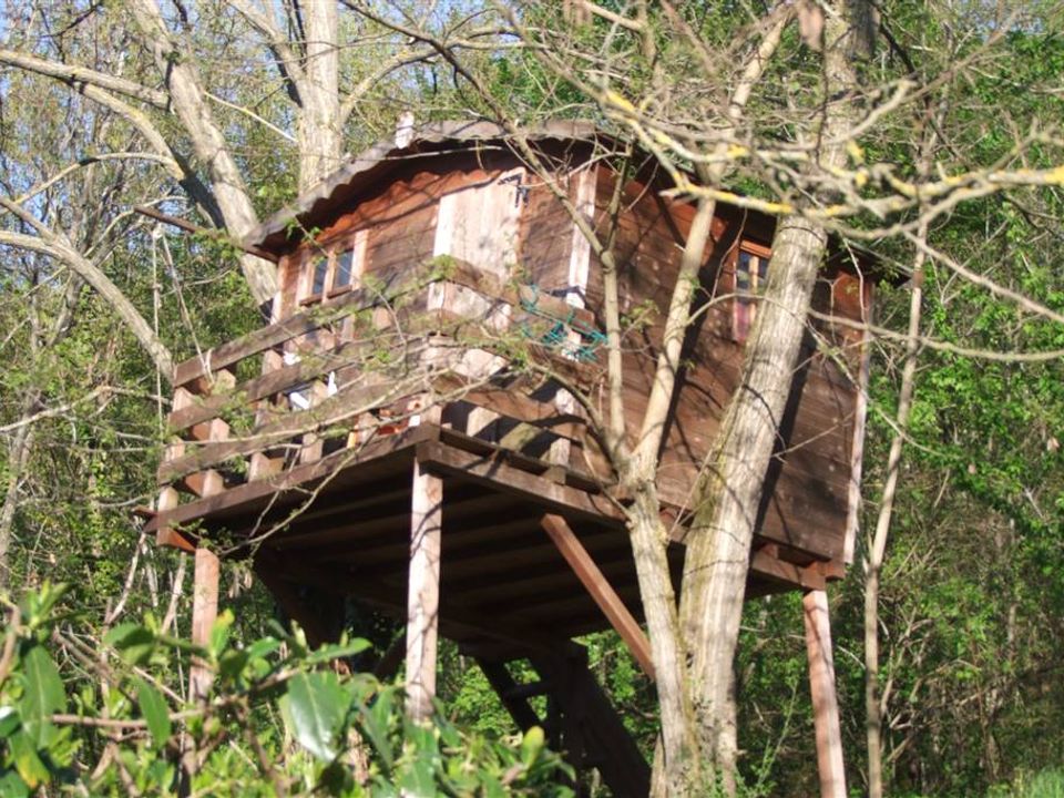 Farm hus i Dicomano, Florence - foto 2