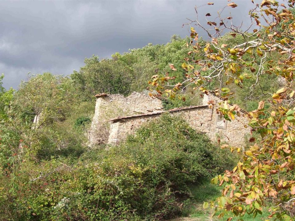 Farm hus i Dicomano, Florence - foto 3