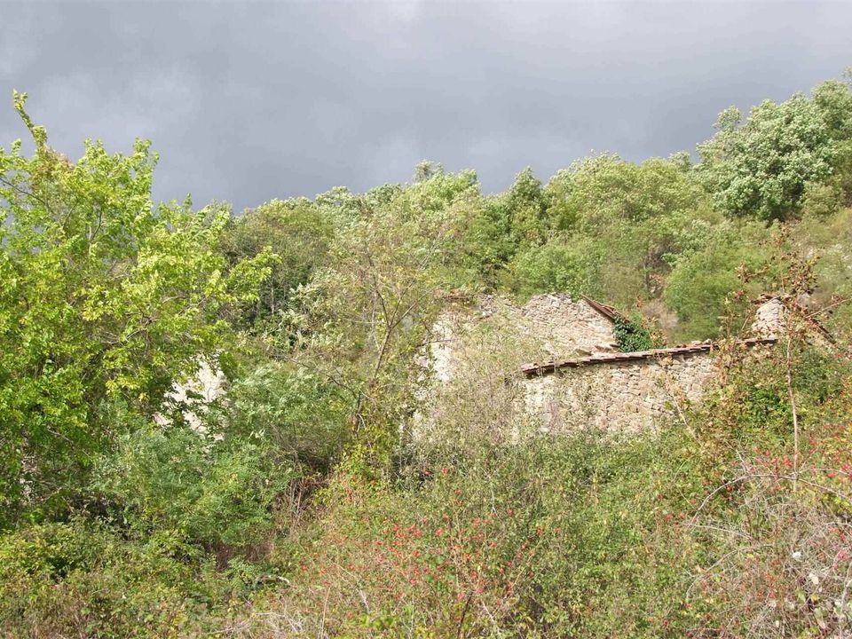 Farm hus i Dicomano, Florence - foto 5