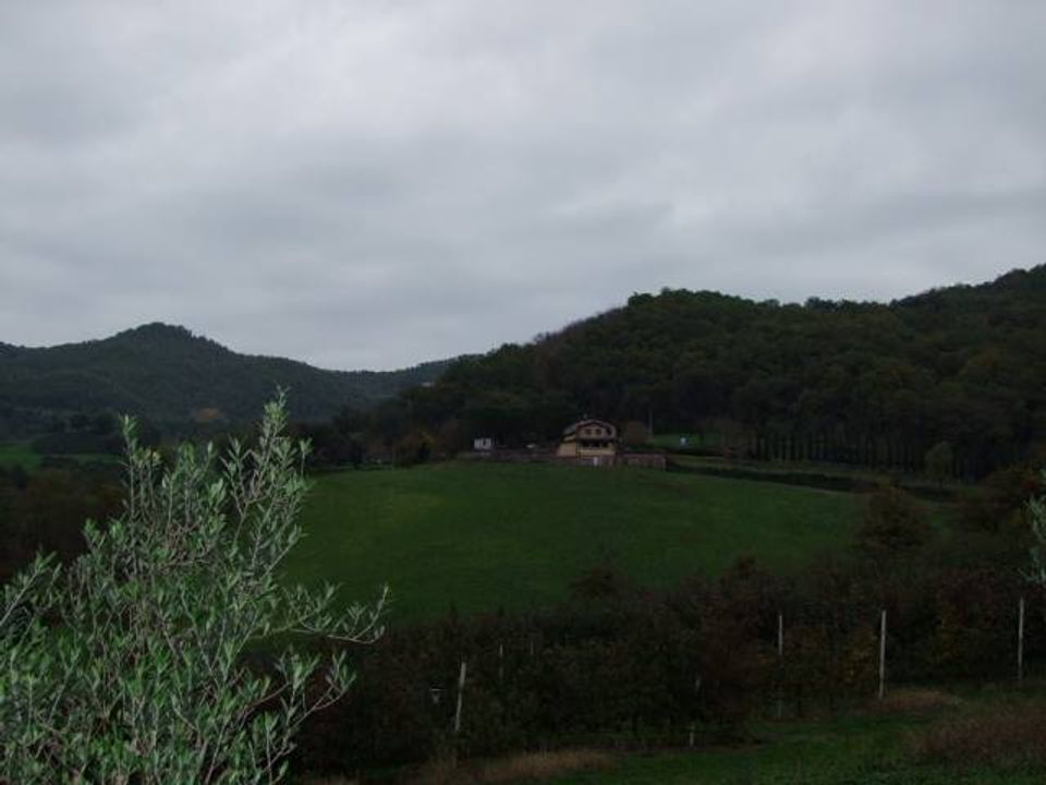Farm hus i Vicchio, Florence - foto 5