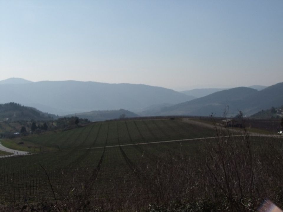 Farm hus i Pelago, Florence - foto 2