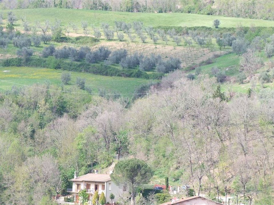 Helårsgrund i Londa, Florence - foto 4
