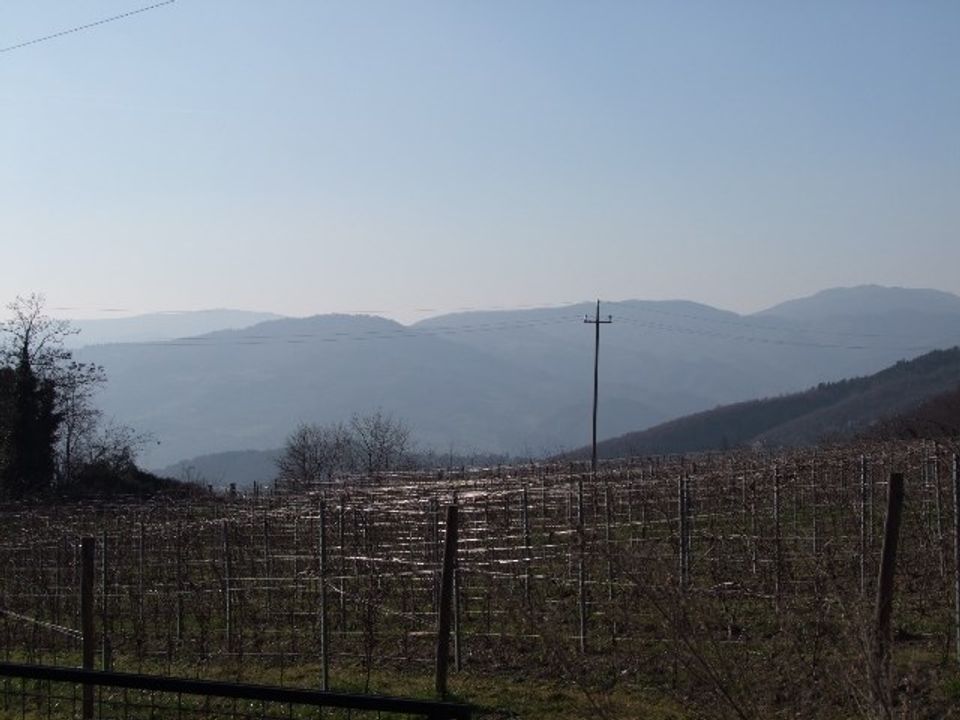 Farm hus i Rufina, Florence - foto 4