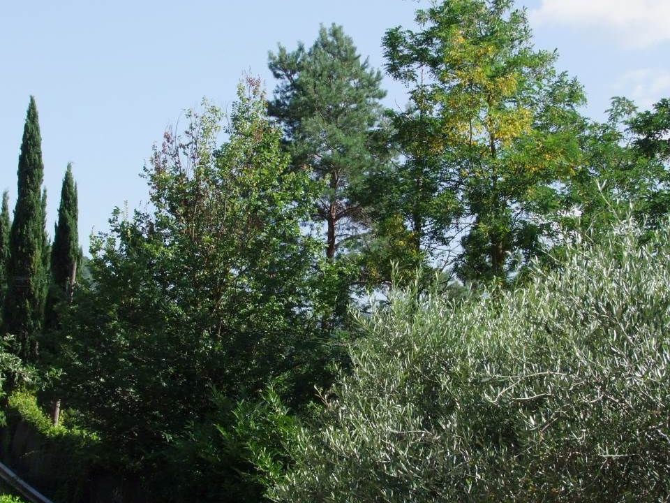 Leilighet i Londa, Florence - bilde 5