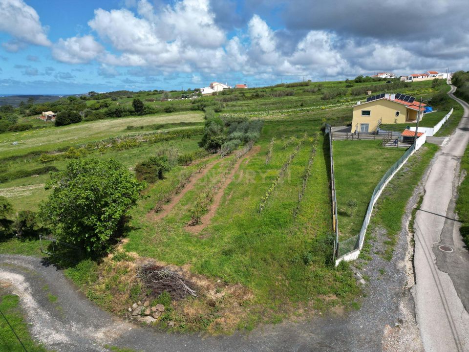 Helårsgrund i Alcobaca, Leiria - foto 2