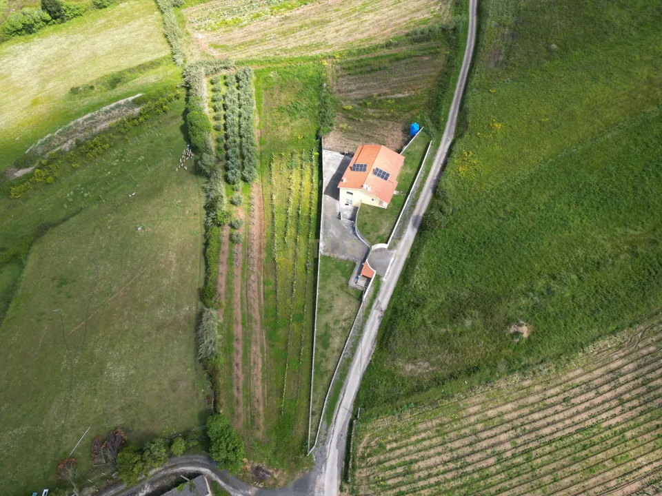 Helårsgrund i Alcobaca, Leiria - foto 5