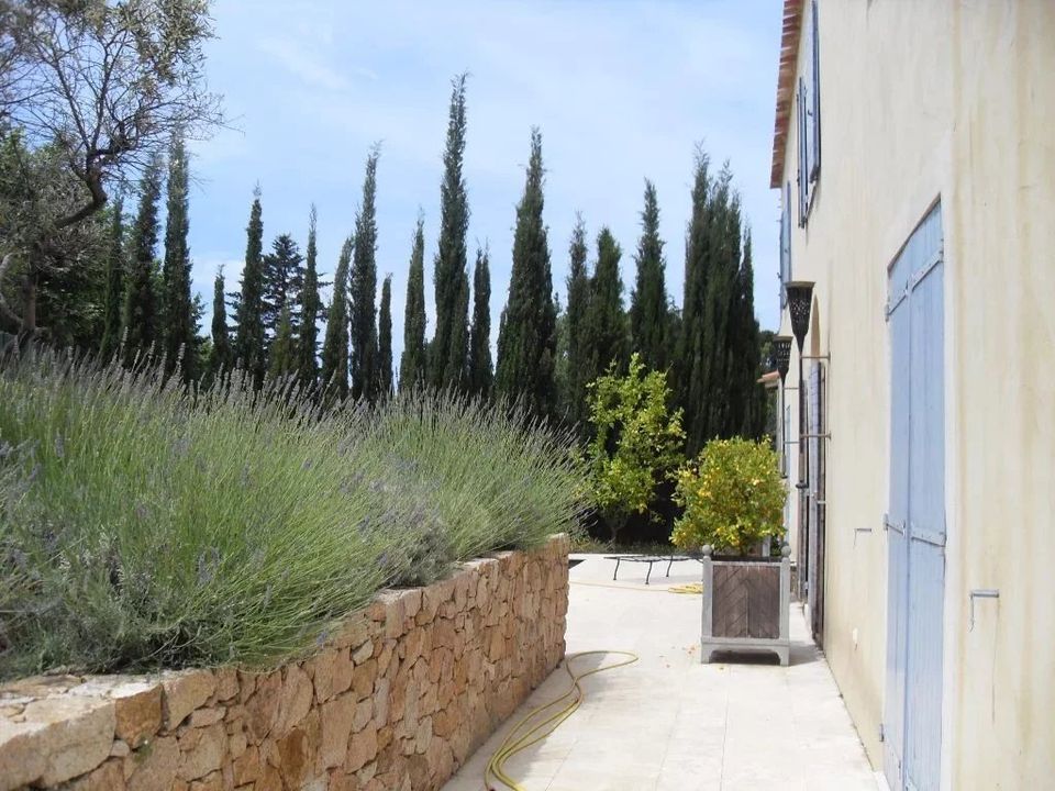 Landejendom i Calenzana, Haute-Corse - foto 3