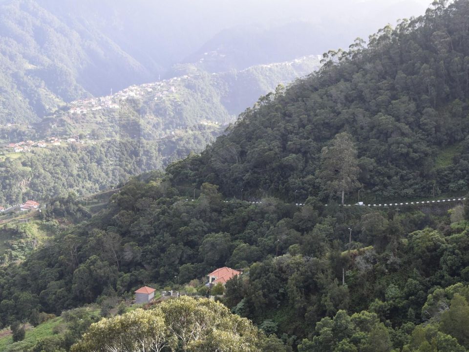 Helårsgrund i Santana, Madeira - foto 3
