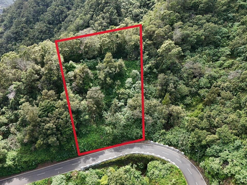 Helårsgrund i Santana, Madeira - foto 1