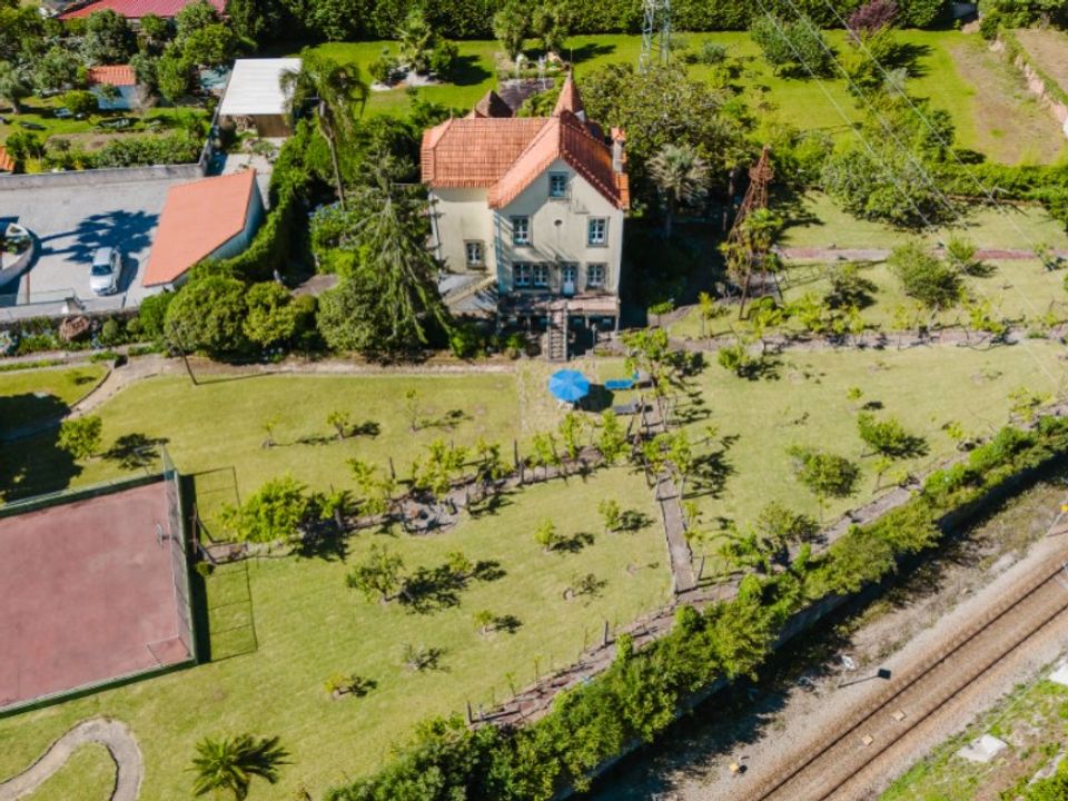 Farm i Barroselas, Viana do Castelo - foto 3