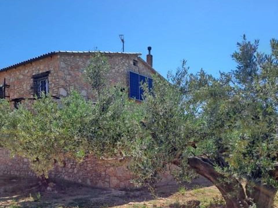 Landejendom i Camarles, Tarragona - foto 4